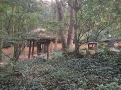 -黄公望隐居地