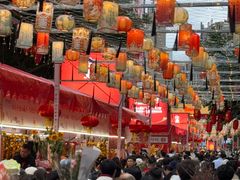 -越秀西湖花市(广州城市广场花卉店)