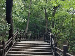 -紫金山山顶公园
