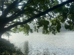 -东莞市虎英郊野公园