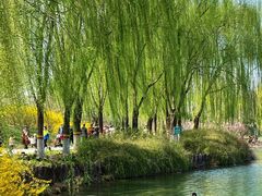 -河北省园博园