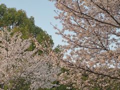 -幸福湖国际会议中心