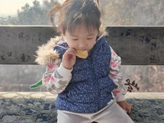 -紫金山山顶公园