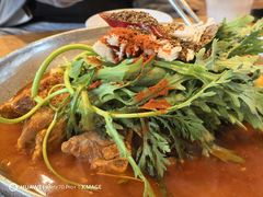 -喇喇排骨火锅·传统韩式脊骨汤(望京西园总店)