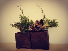 -湘满甲·黄焖甲鱼创始者·湘菜·鲁菜(潘家园店)