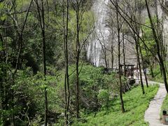 -陕西省红河谷森林公园