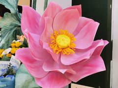 -溪岸路花鸟市场