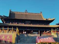 -大槐树寻根祭祖园