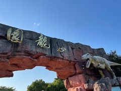 -上海海湾国家森林公园