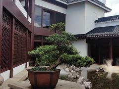 -苏州吴宫泛太平洋酒店