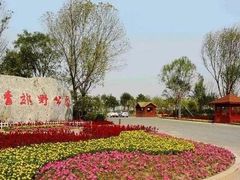-西青郊野公园