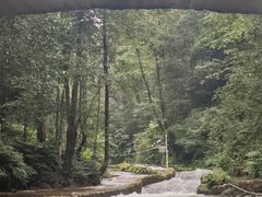 -龙岩森林水乡景区
