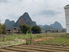 -明仕田园