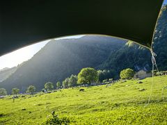 -狮子沟牧场