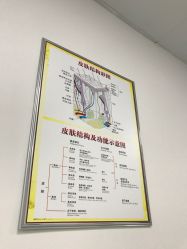 -理肤印象·个人皮肤管理中心