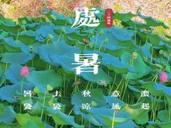 -梁鸿国家湿地公园