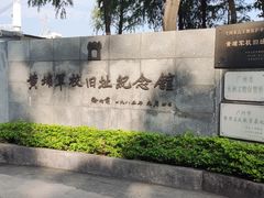 -长洲岛