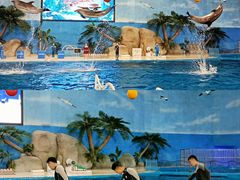 -泉城欧乐堡海洋极地世界
