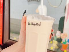 -猫的魔法密林(衣裳街店)