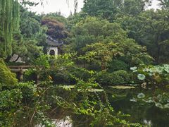 -秋霞圃