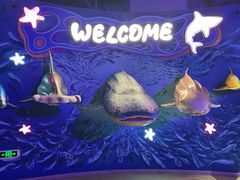 -烟台海昌鲸鲨海洋公园