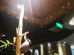 -半悦牛排(龙湖西宸天街店)