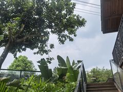 -三圣花乡旅游区