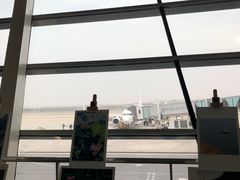 -合肥新桥国际机场-航站楼
