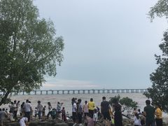 -宝安西湾红树林湿地公园