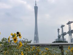 -海心沙亚运公园