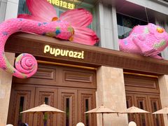 -帕帕拉兹宠物(亚洲旗舰店)