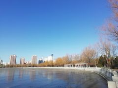 -莲花池公园