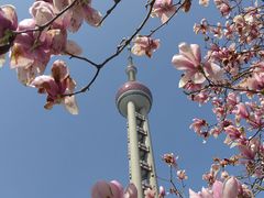 -东方明珠广播电视塔