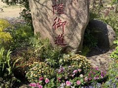 -苏州上方山国家森林公园