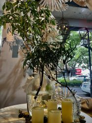 -ChenV西服礼服高级定制(市区养育巷店)