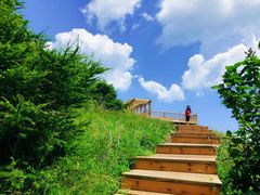 -白草畔自然风景区