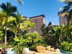 -亚马逊丛林水乐园