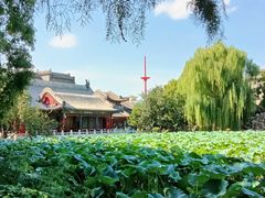 -莲池书院博物馆