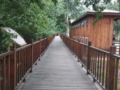 -北京麋鹿生态实验中心