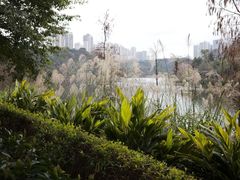-重庆彩云湖湿地公园