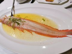 清蒸钓鱼岛红带鱼-涵苑私宴定制(外滩店)