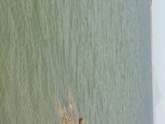 在海一方海滨公园-在海一方公园