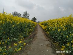 -中国天府农业博览园