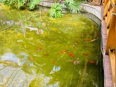 -寿山福海养老服务中心(石景山院)