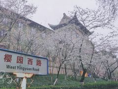 -武汉大学-樱园