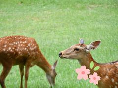 -良渚古城遗址公园