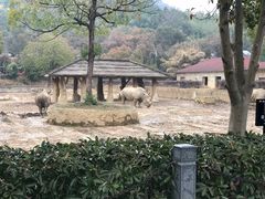 -杭州野生动物世界