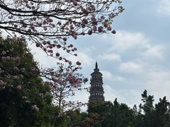 -顺峰山公园