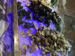 -上海圣诺亚皇冠假日酒店·诺亚厨房