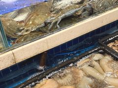 -小厨师·二十年沈家门小海鲜(百井坊巷店)